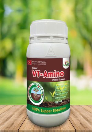 VT AMINO