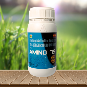 Amino 79 (Spain)