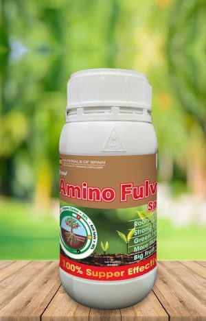 Amino FULVIC Spain