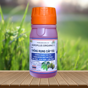 CHỐNG RỤNG CẤP TỐC