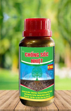 CHỐNG SỐC NHIỆT