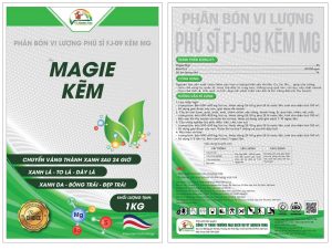 MAGIE – KẼM – GÓI 1KG