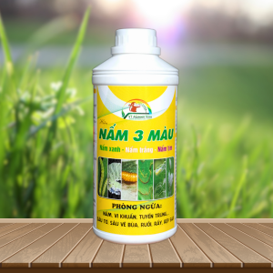 NẤM 3 MÀU