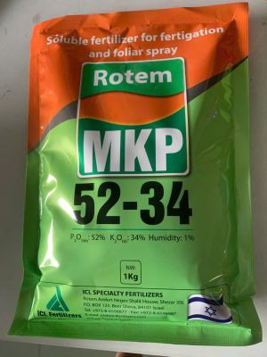 MKP TẠO MẦM HOA – ICL ISRAEL