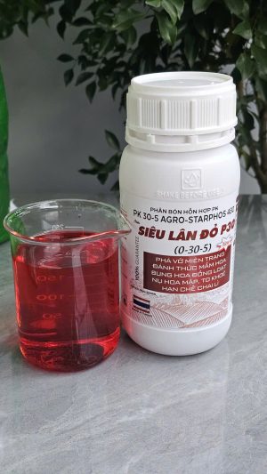 SIÊU LÂN ĐỎ