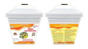 XÔ P61 CHUYÊN TẠO MẦM HOA