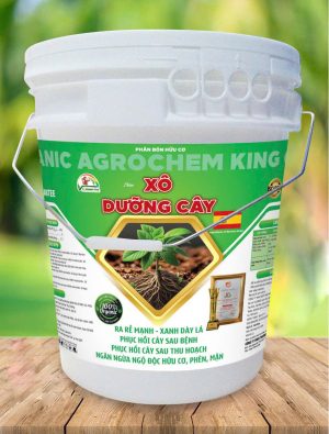 XÔ DƯỠNG CÂY