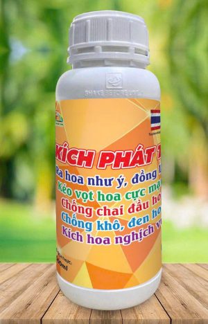 KÍCH PHÁT TỐ